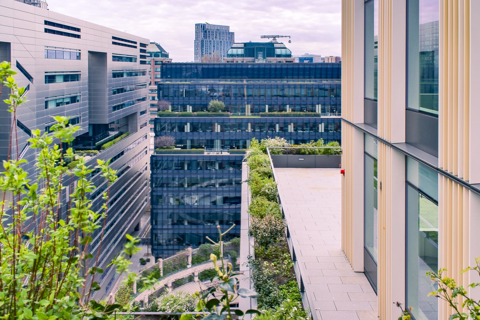 How to Transform Your Workplace into a WELL or Fitwel Certified Healthy Building